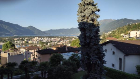 Muralto-Locarno: Collina Apt. 32